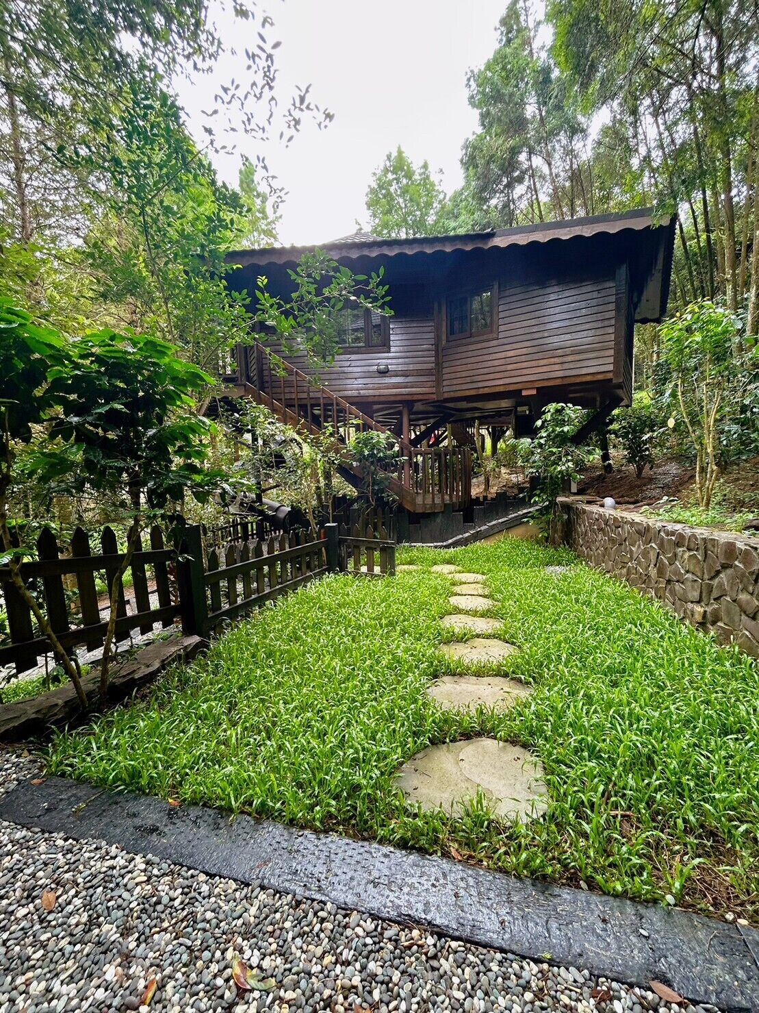 Signature Tree House, 2 Queen Beds, Non Smoking, Mountain View | View from room