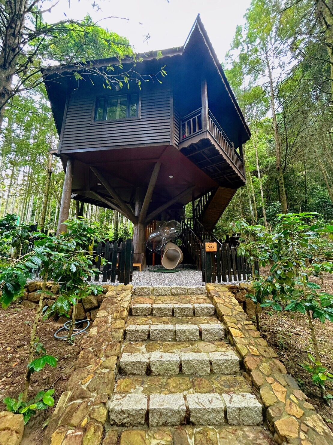 Signature Tree House, 2 Queen Beds, Non Smoking, Mountain View | View from room