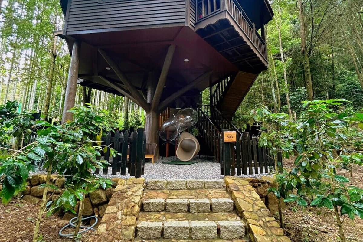 A treehouse with a wooden exterior, a balcony, and a stone staircase leading up to it.