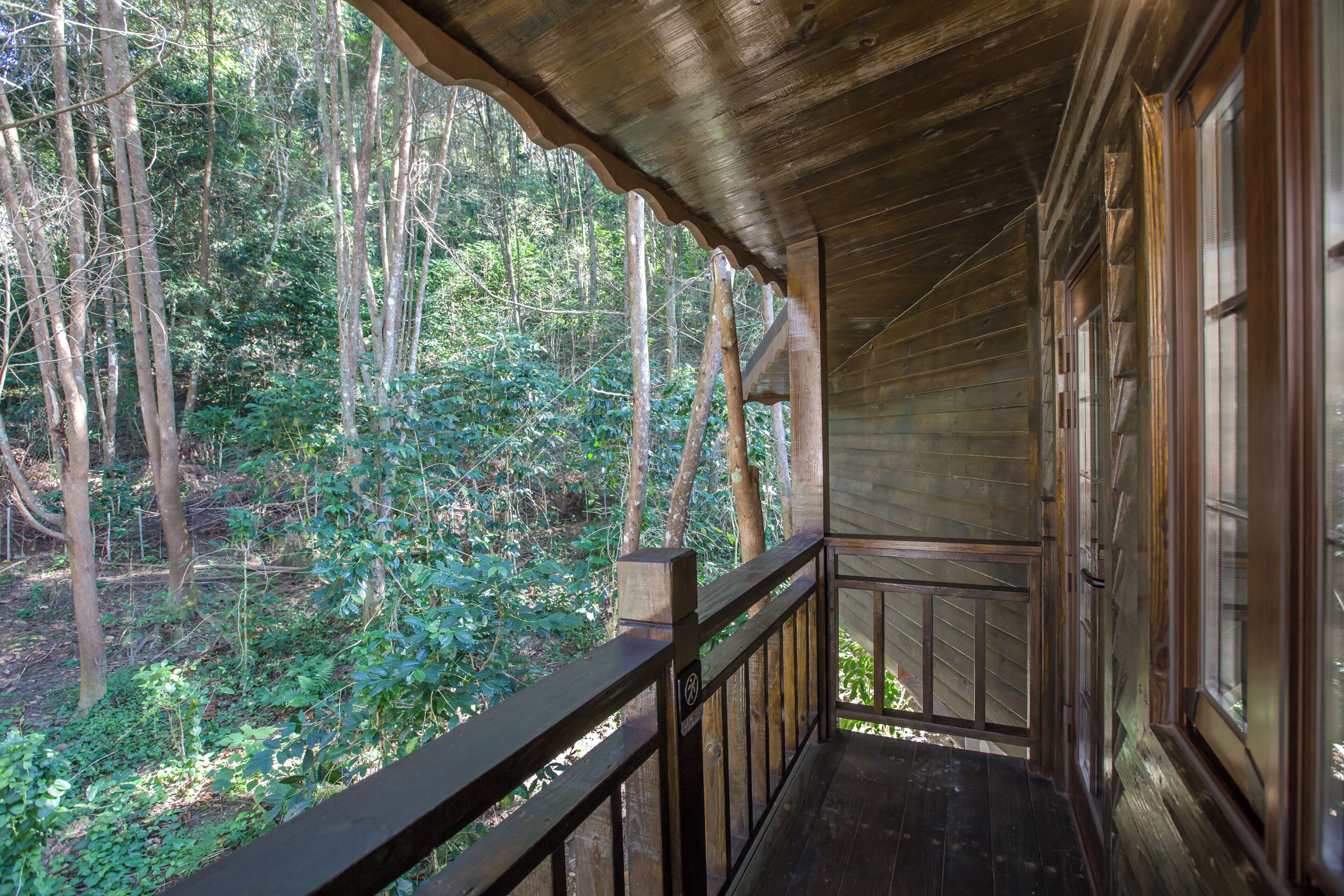 A wooden porch with a view of a forested area.