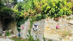 Immagine non classificata, 2 di 13, pulsante