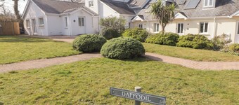 Daffodil Apartment