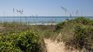 A beach path leading to the ocean with dense vegetation on either side. - Judi's Place, Oceanfront House in Salter Path, NC! (Salter Path)