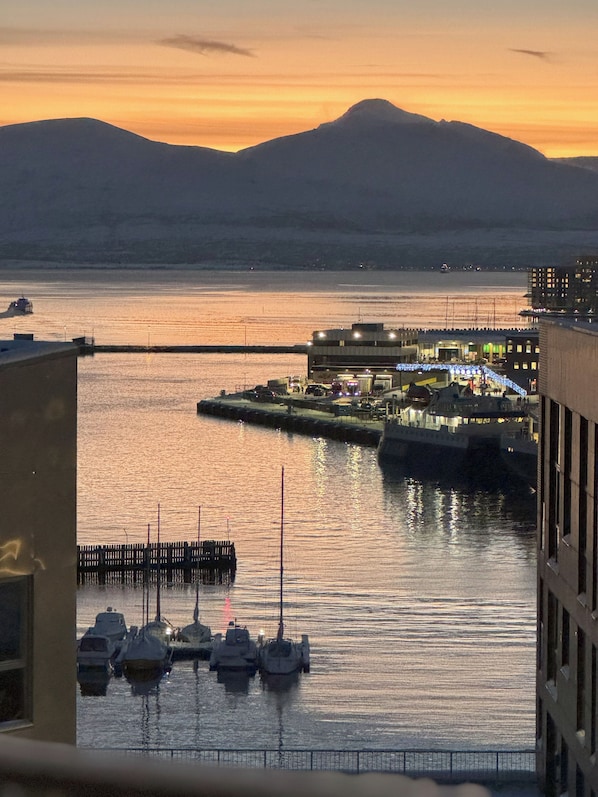 Vista desde la propiedad