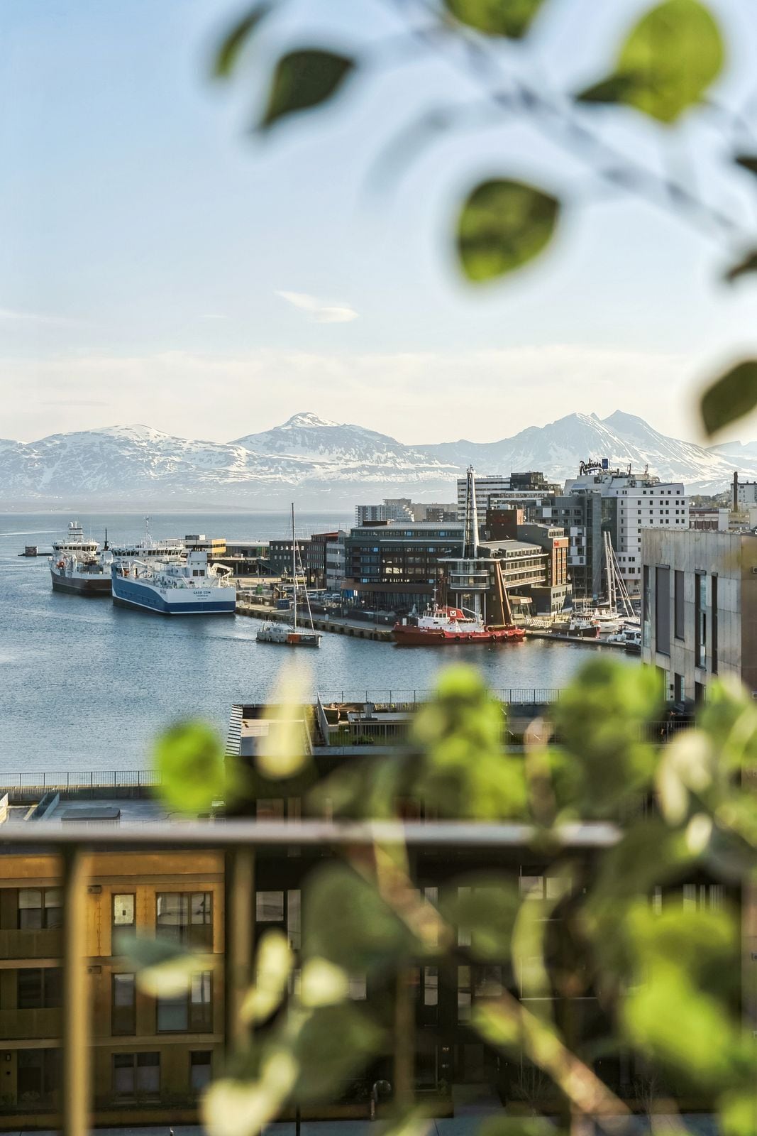 A coastal cityscape with a marina, industrial buildings, and snow-capped mountains in the background.