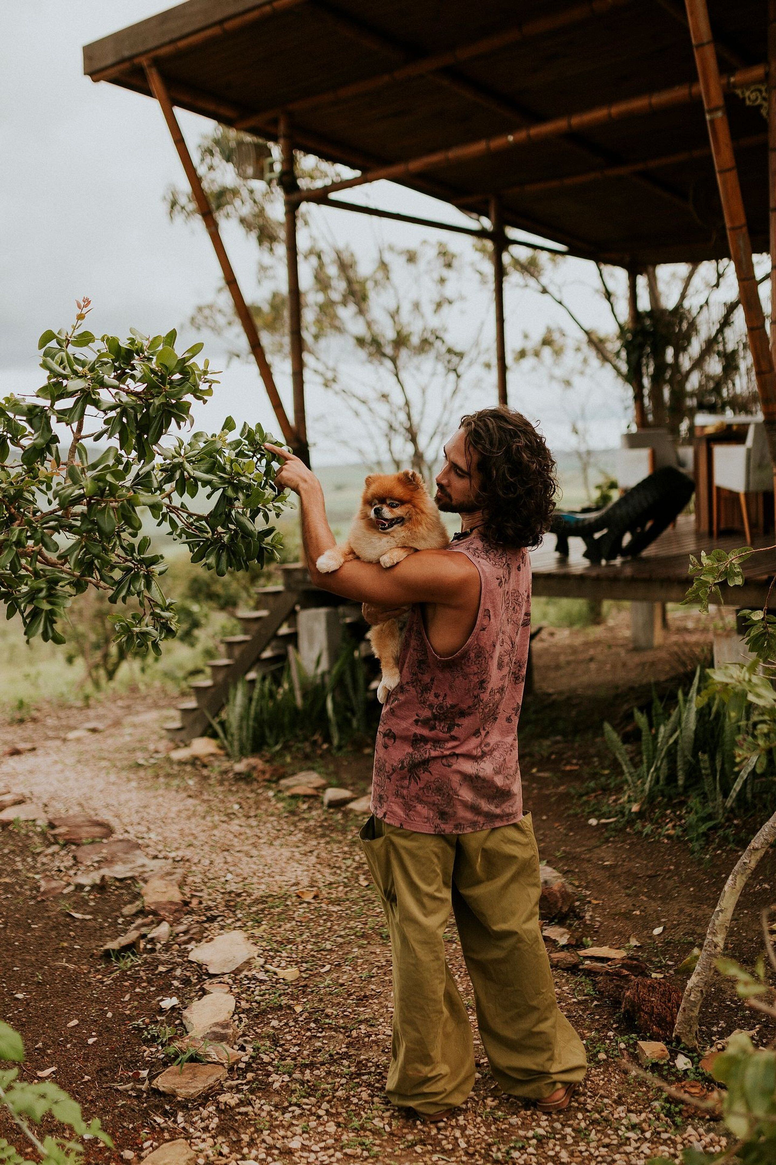 Bungalow | Property grounds