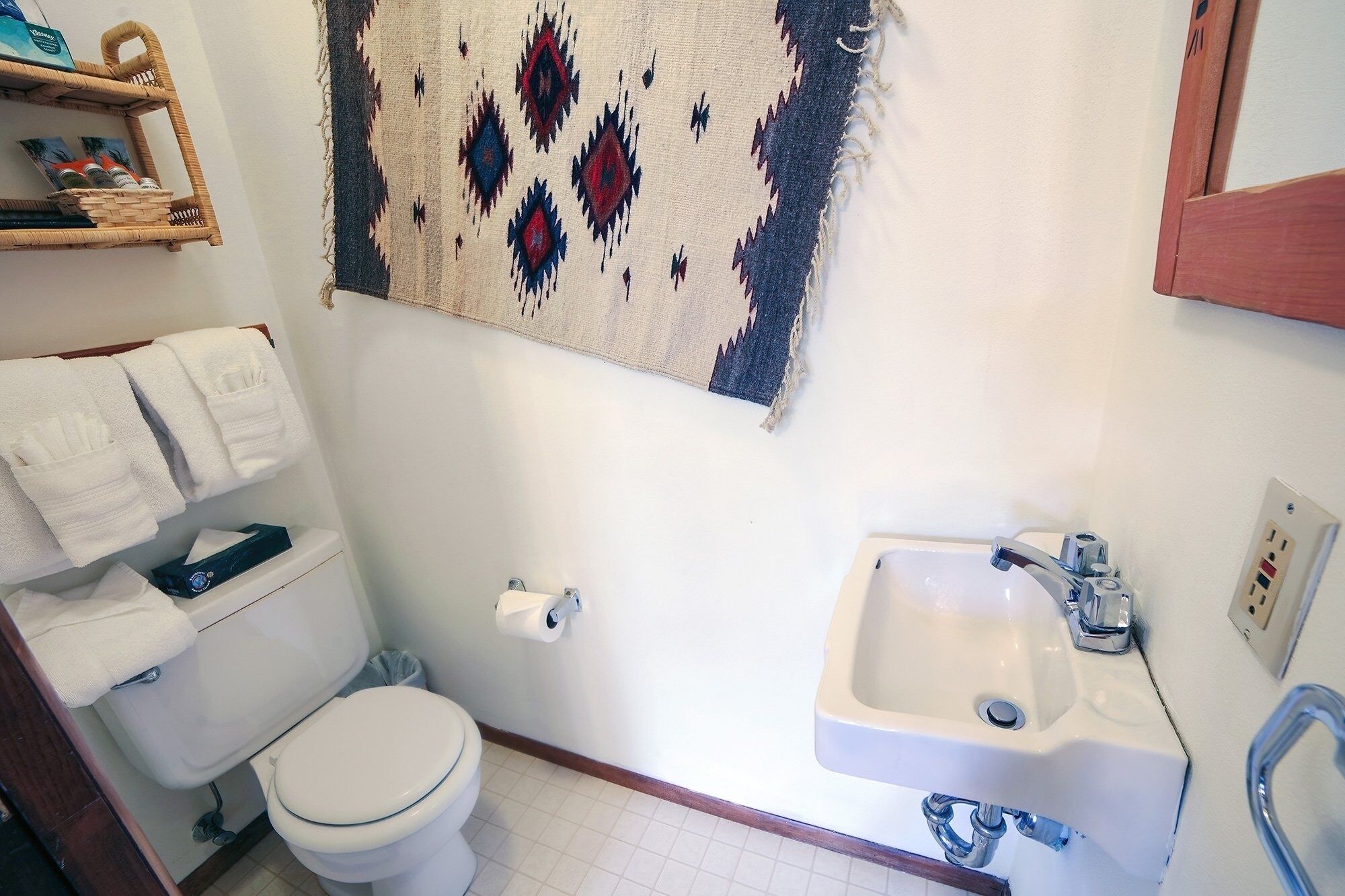 Une salle de bain équipée de toilettes, d’un lavabo et d’une petite moquette fixée au mur.
