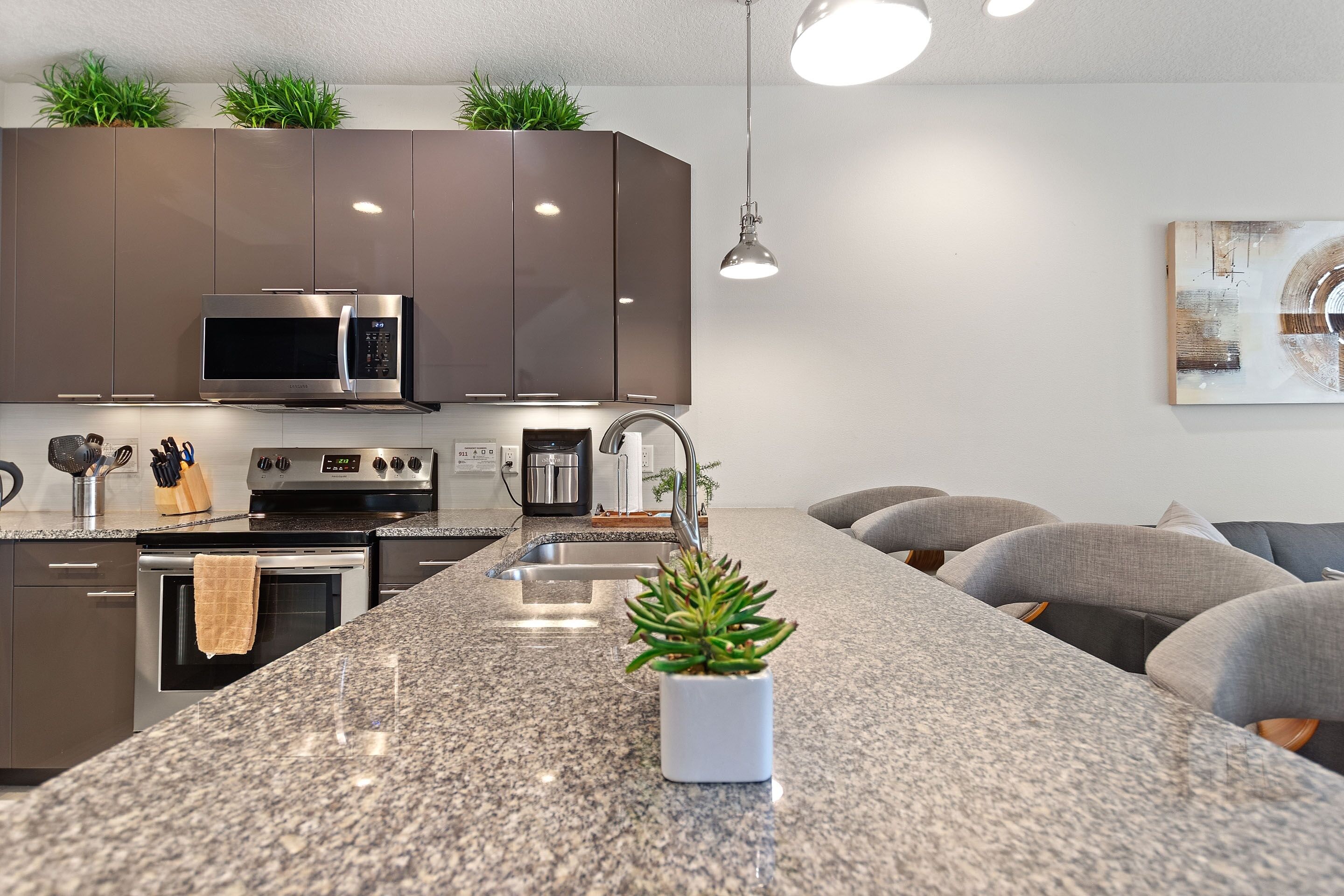 Una cocina moderna con encimeras de granito, electrodomésticos de acero inoxidable y una isla central con una planta en maceta.