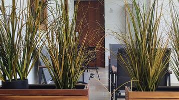 Estudio Deluxe | Minibar, wifi gratis y ropa de cama