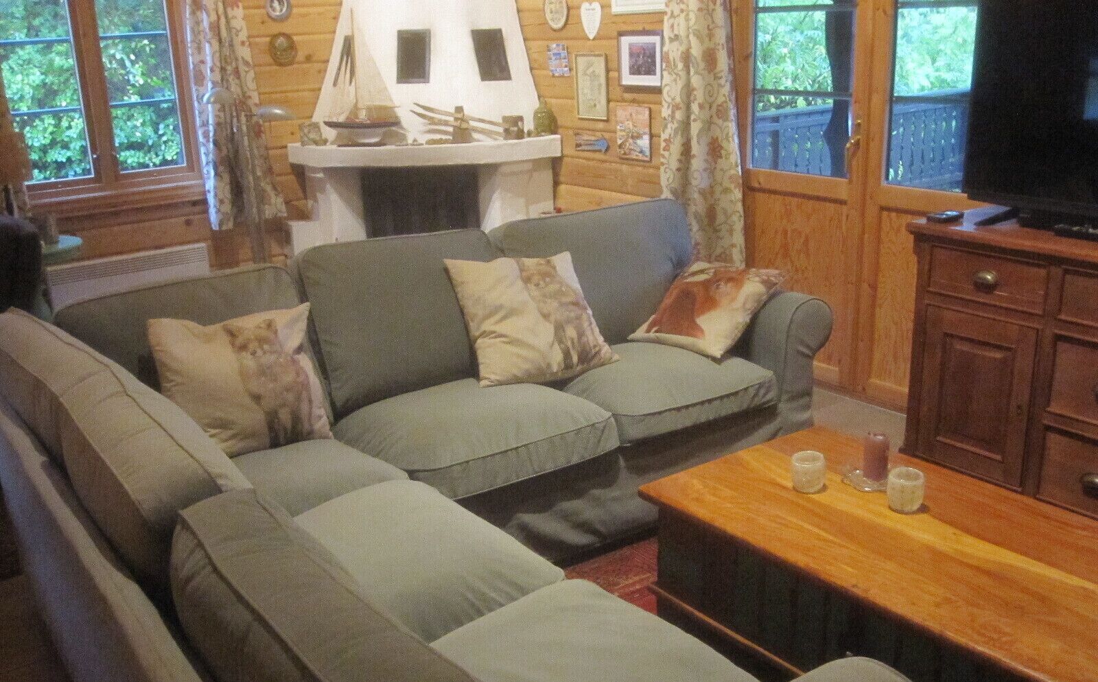Smart TV, fireplace, DVD player, books