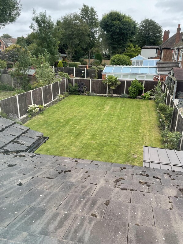 House | Property grounds