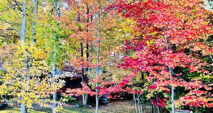 Lakefront Cabin on Lake Adirondack- Tax free