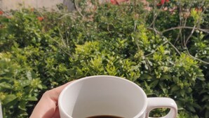 A hand holding a white mug with a handle, filled with a dark liquid, against a backdrop of green foliage and a building with red-tiled roofs.
