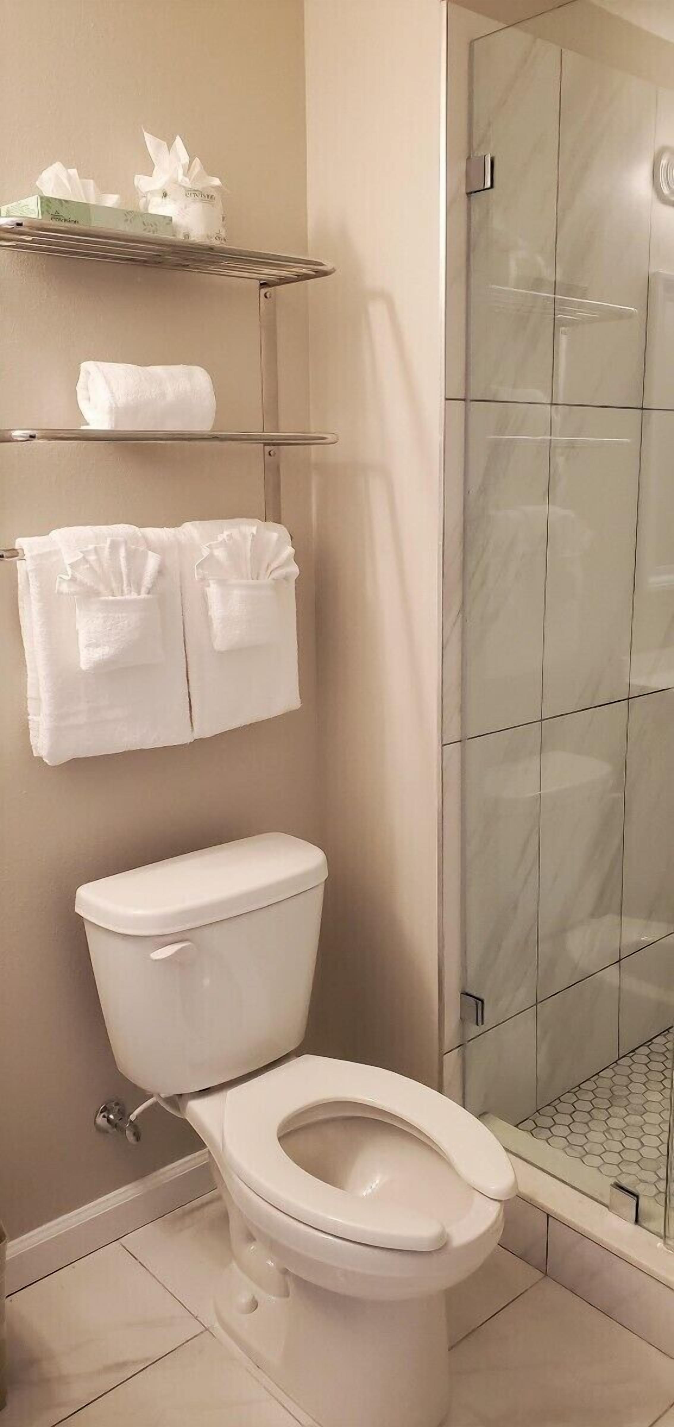 Un baño moderno con inodoro, cabina de ducha de cristal y un estante con artículos de aseo.