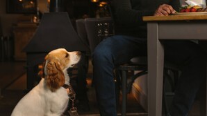 Um homem sentado à mesa com um cão ao lado.