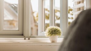 Uma janela com persianas brancas, um pequeno vaso com planta no parapeito, e um vislumbre de um edifício lá fora.