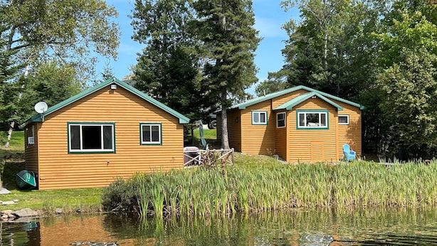 Two wooden cabins by a calm lake with a dock, surrounded by tall trees and reeds. - Cozy Cabin on Rangeley Lake  (Rangeley)