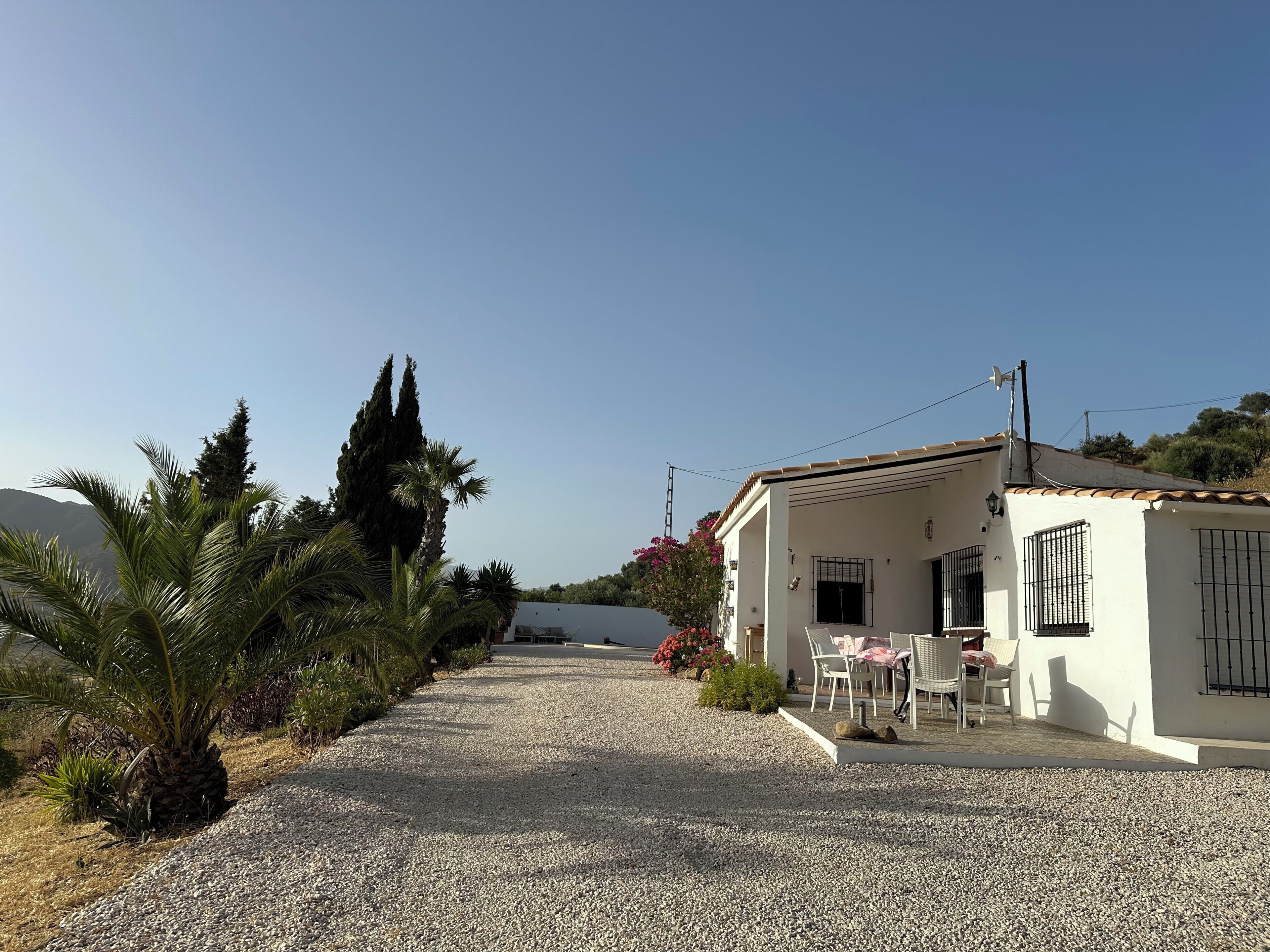 A white building with a gravel driveway, palm trees, and a clear sky.