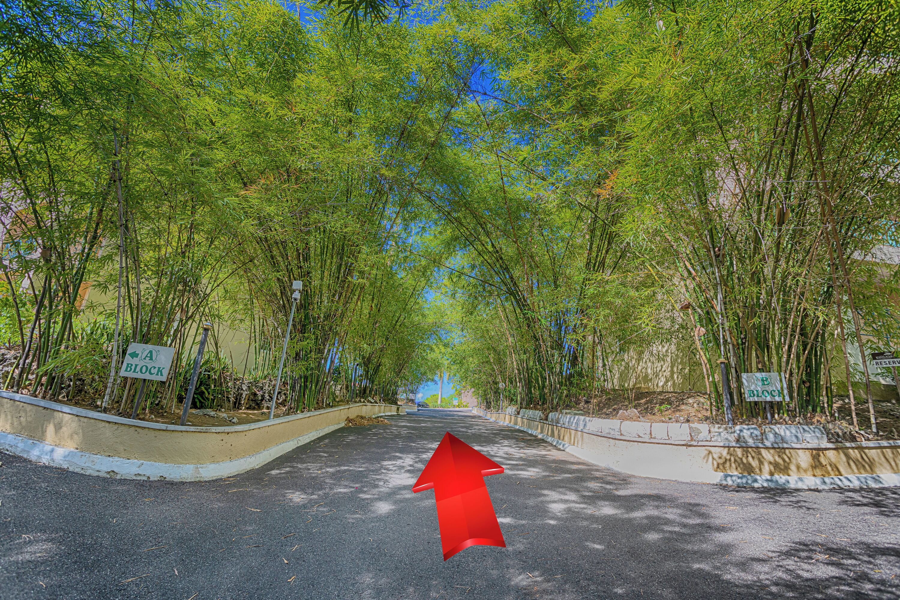 A road with a red arrow pointing straight ahead, flanked by trees and a sidewalk.