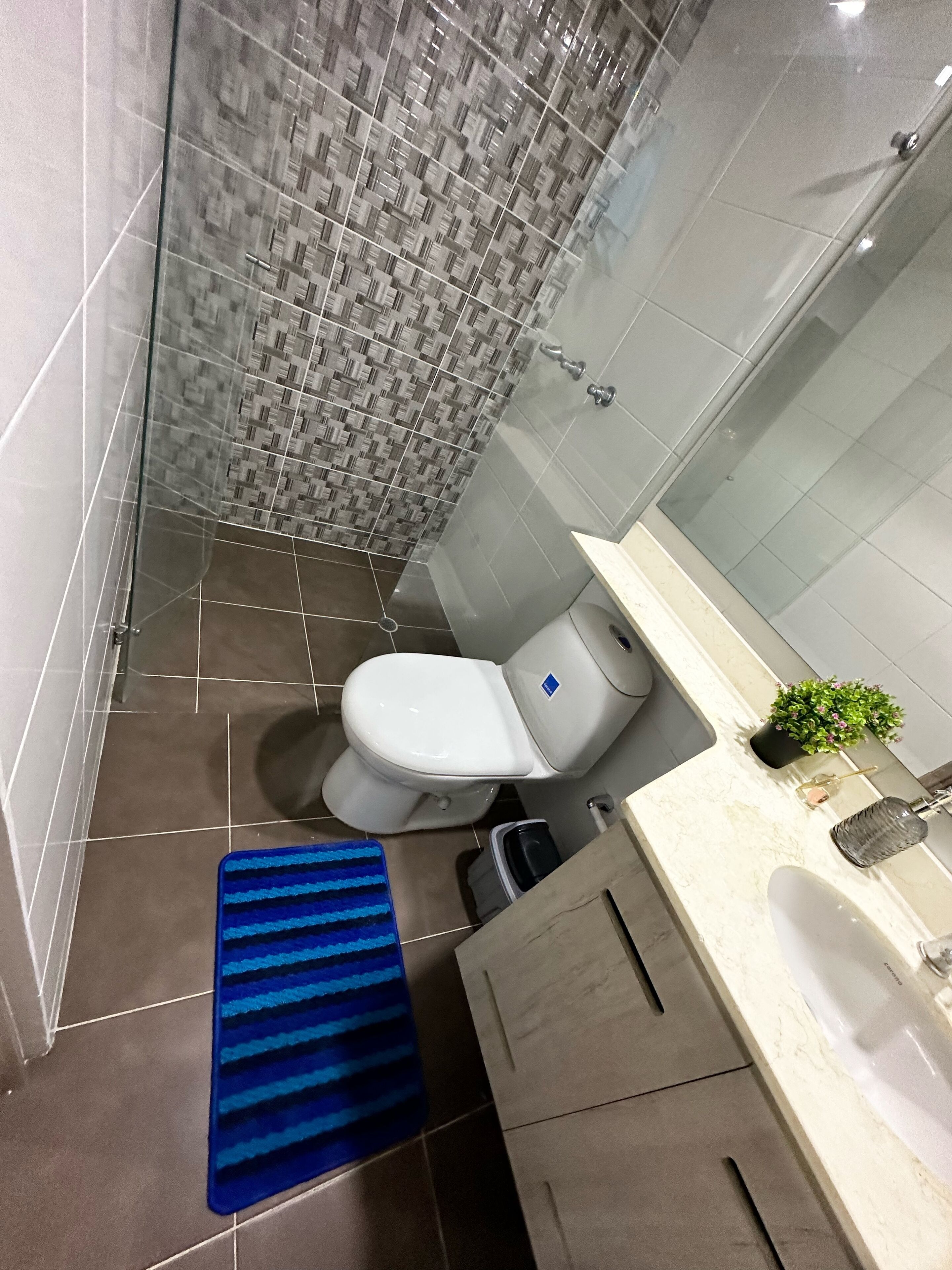 Towels, soap, shampoo, toilet paper