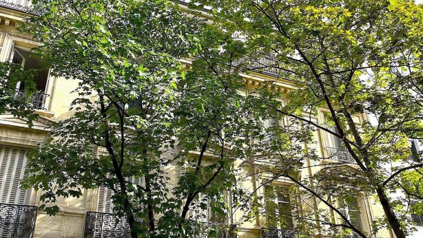 A building with multiple balconies and a tree in front.