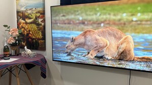 Un televisor que muestra un oso bebiendo agua, una botella de vino, una caja de pañuelos y un cuadro en la pared.