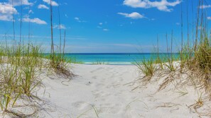Walk along the pristine beach, bordered by tall grasses and dunes, to the calm ocean.