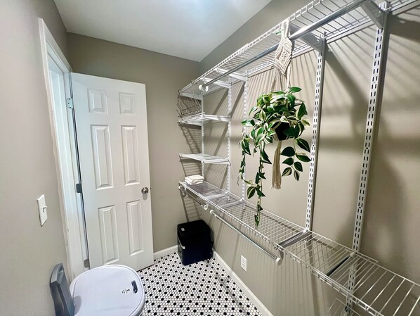 A storage closet with metal shelves, a potted plant, and a white door.