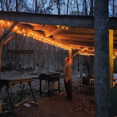 Driftwood Treehouse Cabin w/AC, Peaceful & Cozy!