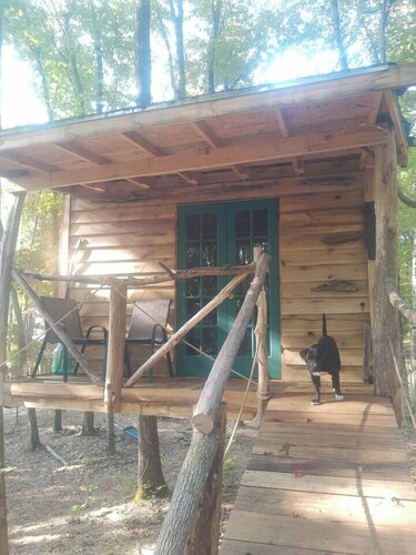 Driftwood Treehouse Cabin w/AC, Peaceful & Cozy!
