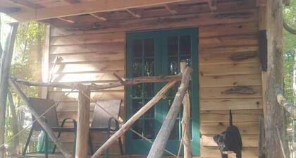 Driftwood Treehouse Cabin w/AC, Peaceful & Cozy!
