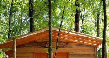 Driftwood Treehouse Cabin w/AC, Peaceful & Cozy!