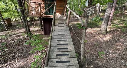 Driftwood Treehouse Cabin w/AC, Peaceful & Cozy!