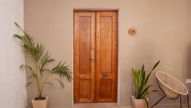 A wooden door, two potted plants, and a woven chair in a hallway. - Premium House 4 BR in Downtown, Walk Everywhere! (Valladolid)