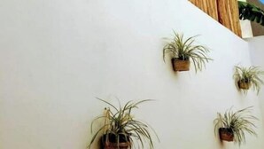 A white wall with several hanging planters and a bamboo fence. - Premium House 4 BR in Downtown, Walk Everywhere! (Valladolid)