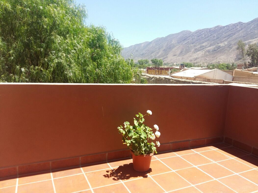 A potted plant on a tiled balcony with a view of mountains and greenery.