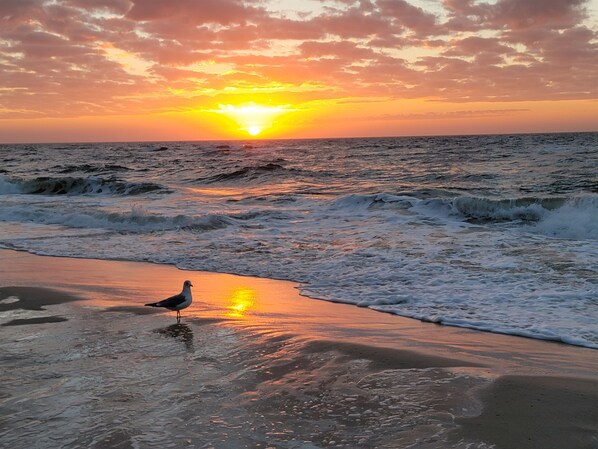 Une scène de plage avec des vagues et un coucher de soleil.