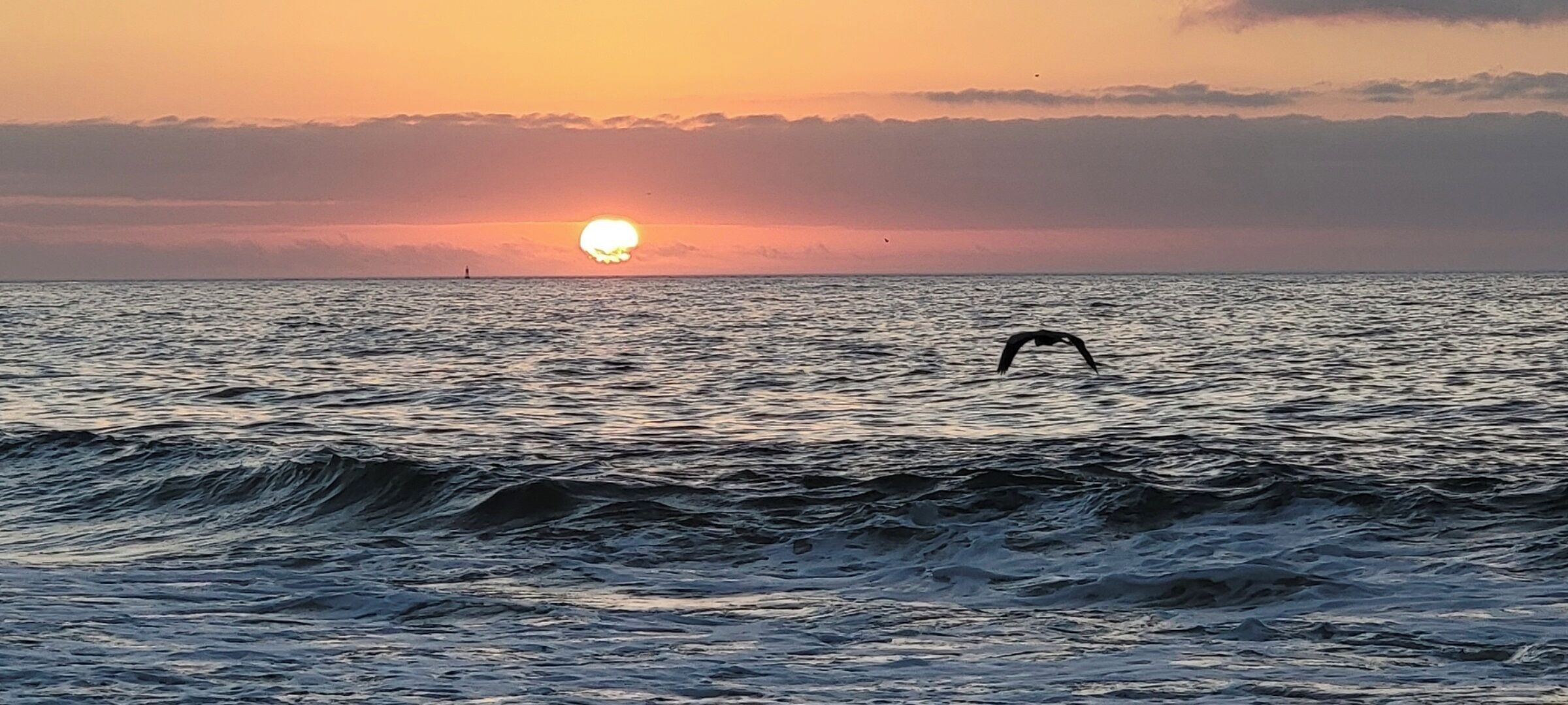 Een zonsondergang boven de oceaan, met golven en een vliegende vogel.