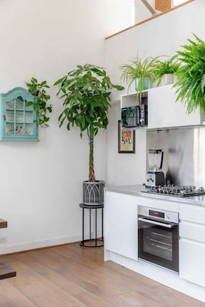Apartamento básico, várias camas | Cozinha privada | Geladeira, micro-ondas, fogão, cooktop