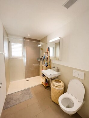 A modern bathroom with a glass shower enclosure, a white sink, and a toilet.
