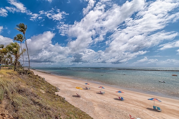 Appartement | Plage | Sur la plage, sable blanc, 6 bars sur la plage