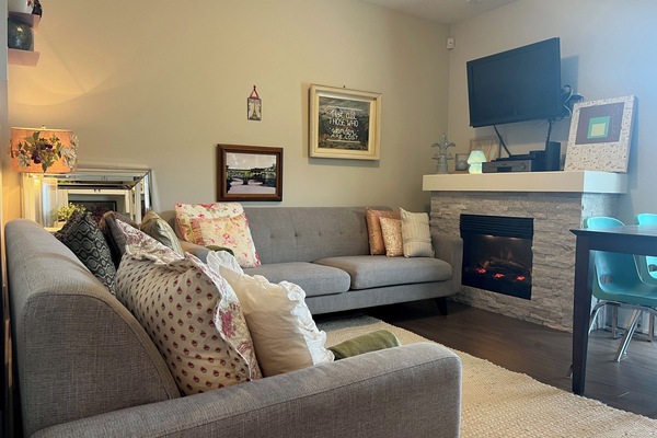 Smart TV, fireplace, books, video library