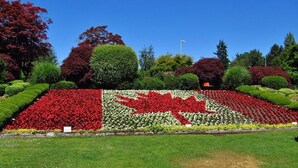 Un jardín ajardinado con un diseño de hoja de arce rojo.