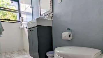 Hair dryer, towels, soap, shampoo