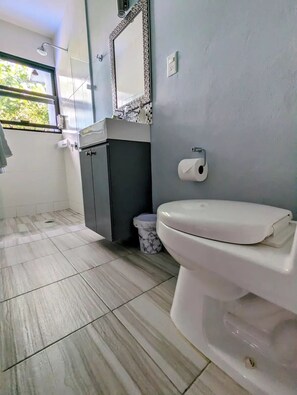 Secador de cabelo, toalhas de banho, sabonete, shampoo