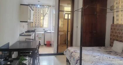 Pleasant Studio Apartment at Bole