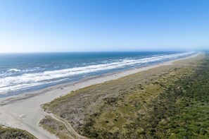 A coastal landscape with a beach and sparse vegetation. - Sea forever (Ocean Shores)