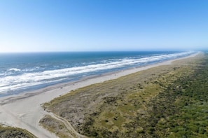 Beach - Beach Happy (Ocean Shores)