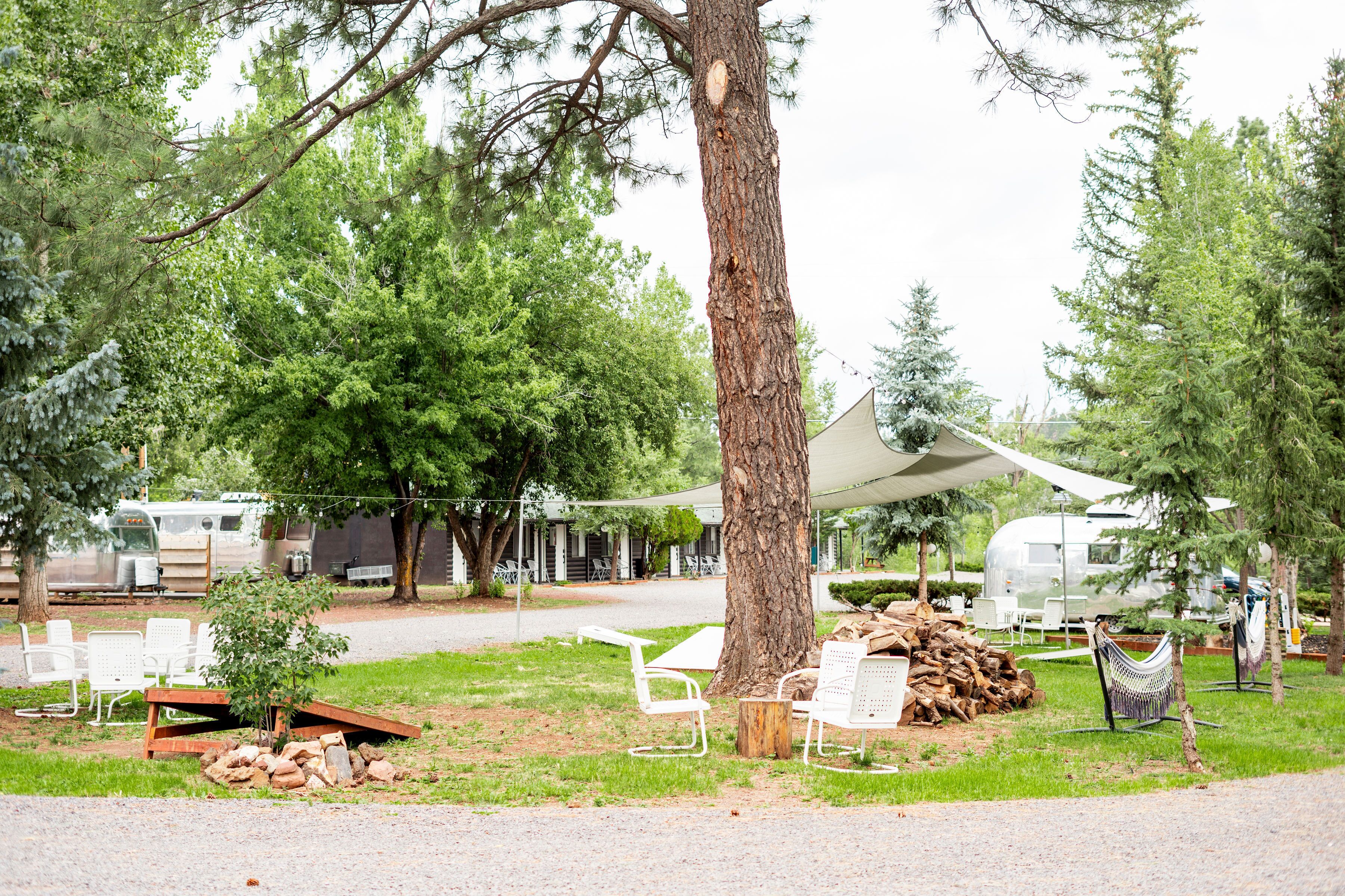 Un terrain de camping avec des chaises blanches, un hamac et un grand arbre.