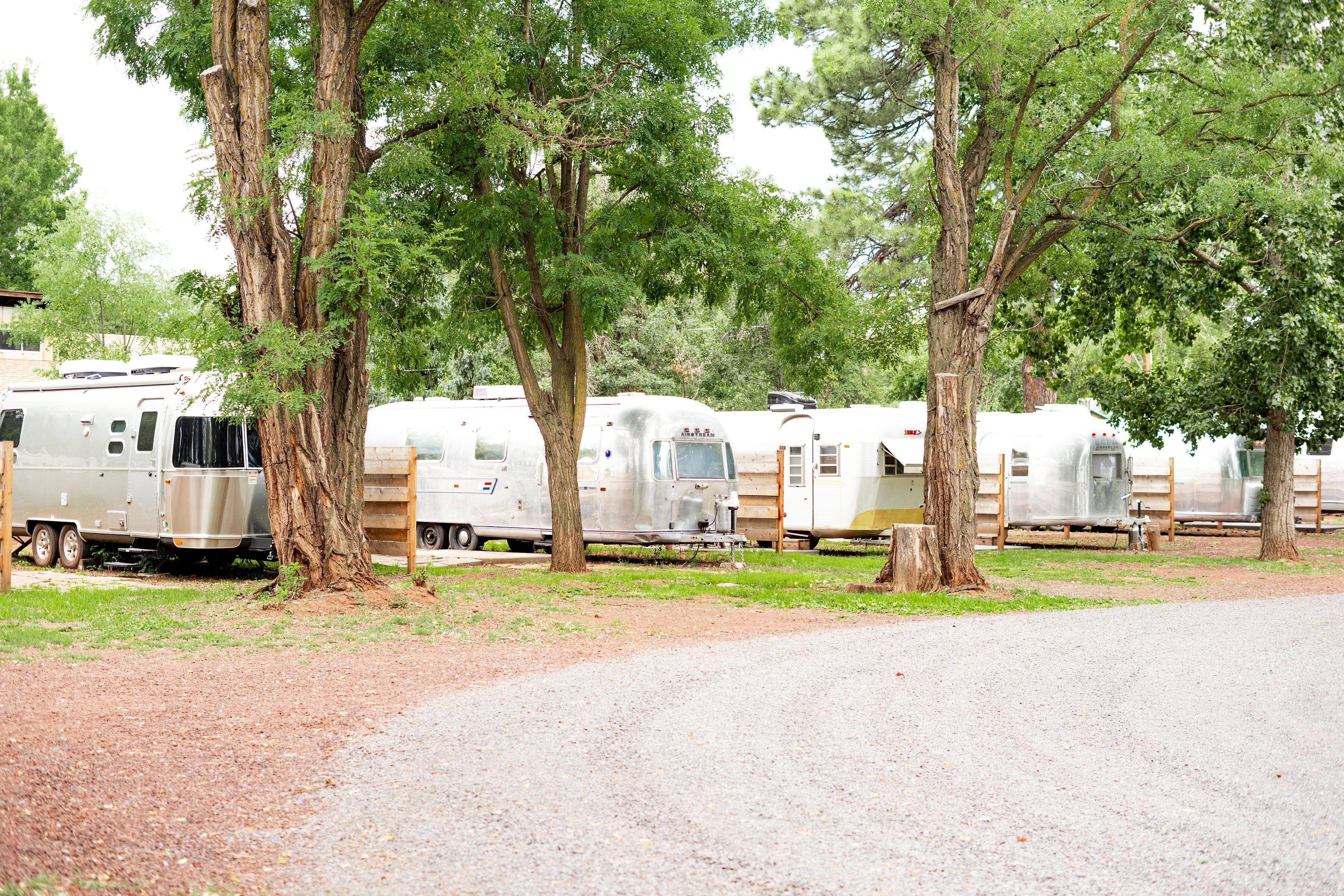 A row of RVs parked under trees in a campground.